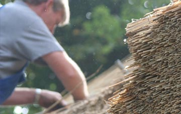 professional Weston Super Mare thatchers